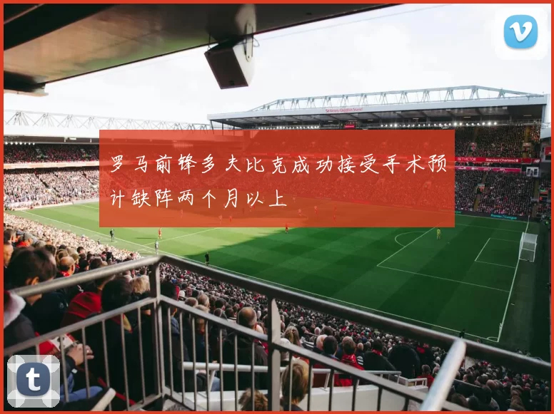 罗马前锋多夫比克成功接受手术预计缺阵两个月以上